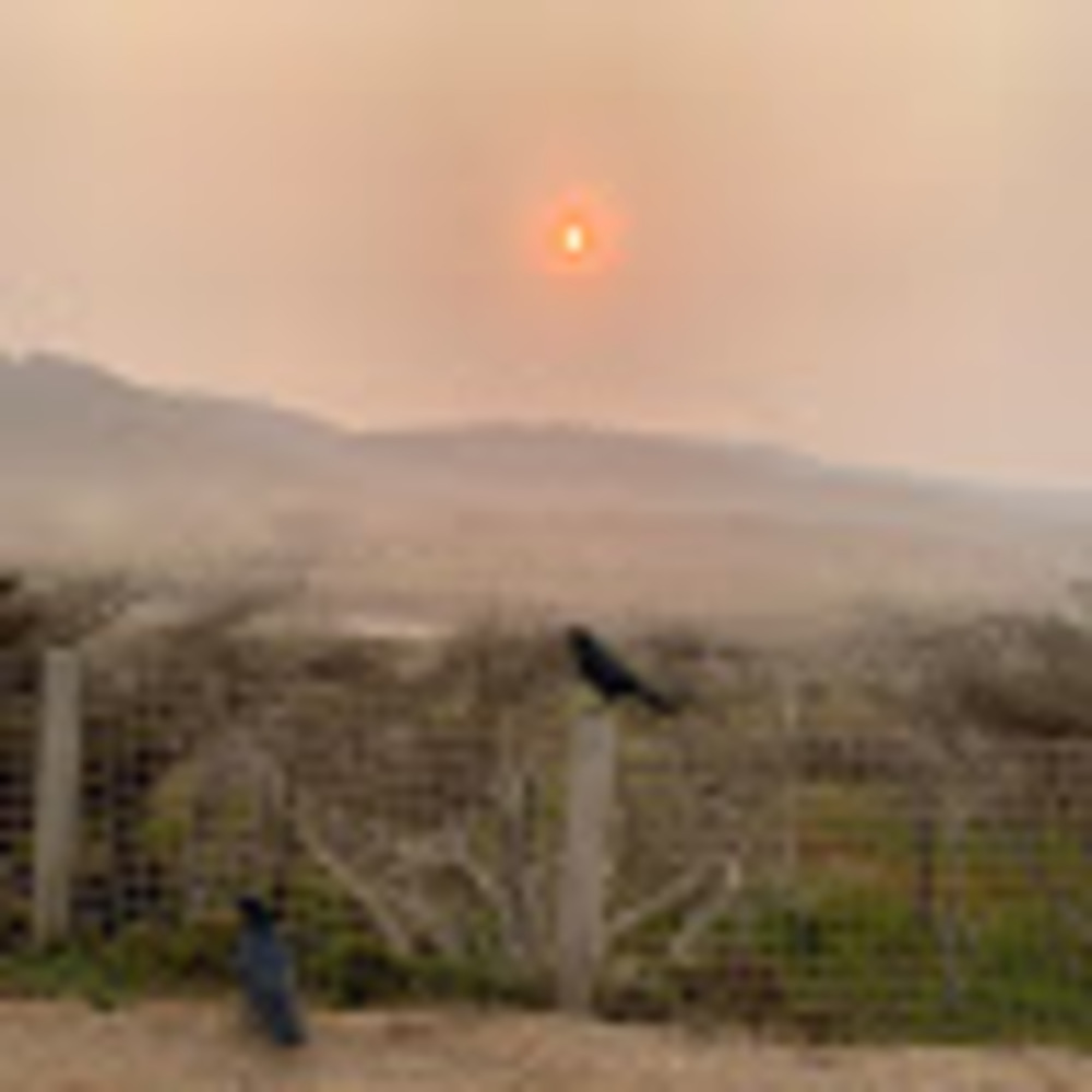 Meet your Posher, Cassie